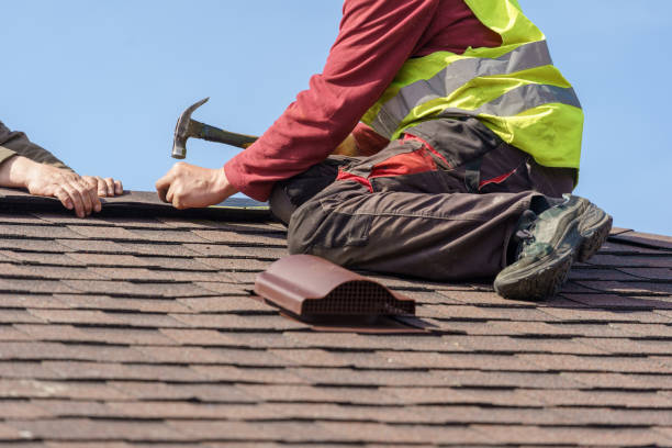 Best Roof Waterproofing Services  in Daleville, IN