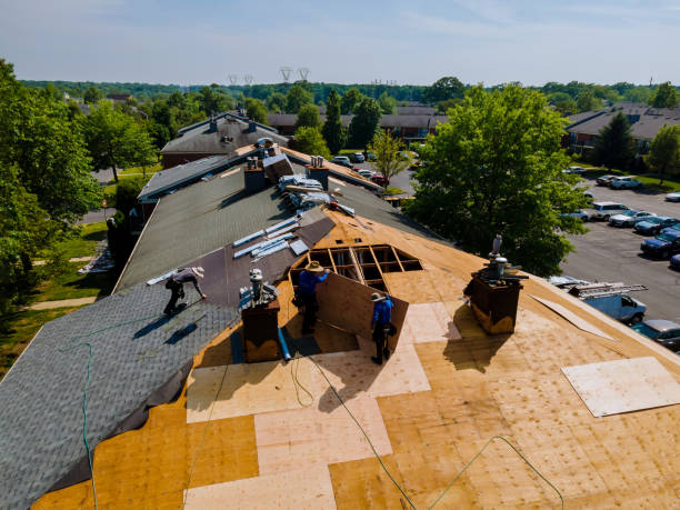 Best Commercial Roofing Services  in Daleville, IN