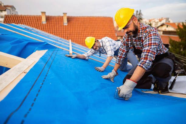 Best Local Roofing Companies  in Daleville, IN